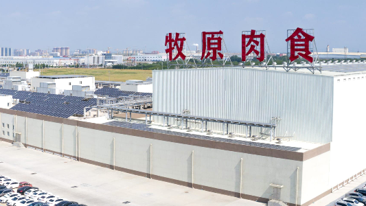 产能利用率已达100%，牧原后续计划每年再投产1-2个新屠宰厂  第4张