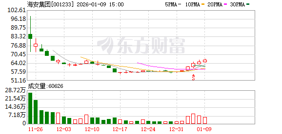 海安集团:公司调整后的募集资金主要投向三个项目 第1张 海安集团:公司调整后的募集资金主要投向三个项目 第1张