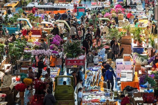 平稳开局！开年首月社会融资规模增量达7.22万亿元  第2张