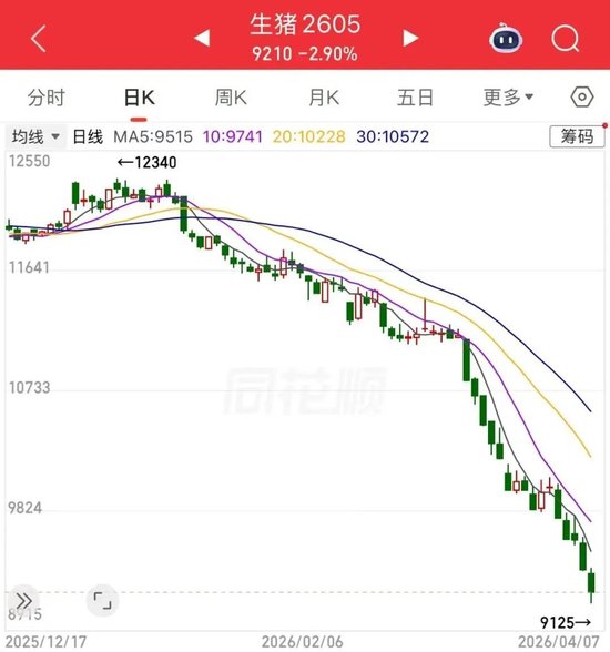 猪肉股大涨，生猪价格却不断下跌，原因是？  第4张